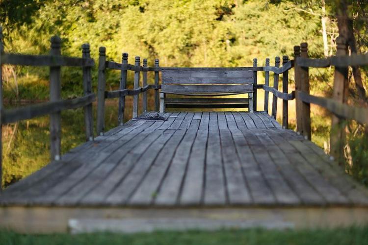 Meadow View Farm Bed & Breakfast Hernando Bagian luar foto