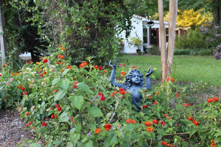Meadow View Farm Bed & Breakfast Hernando Bagian luar foto