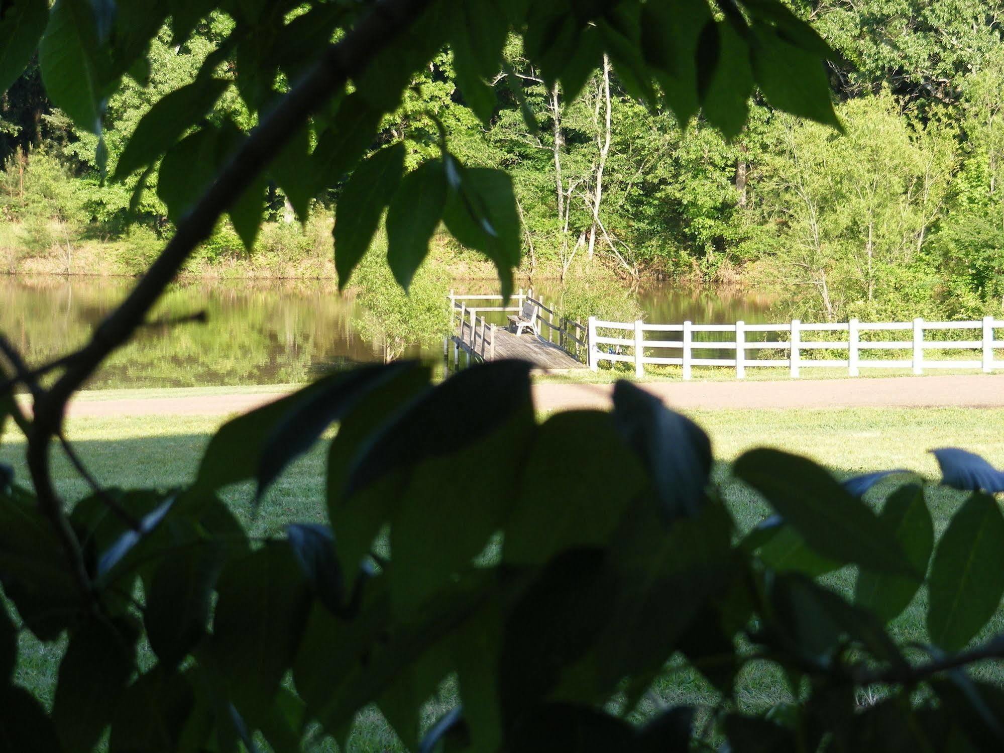 Meadow View Farm Bed & Breakfast Hernando Bagian luar foto