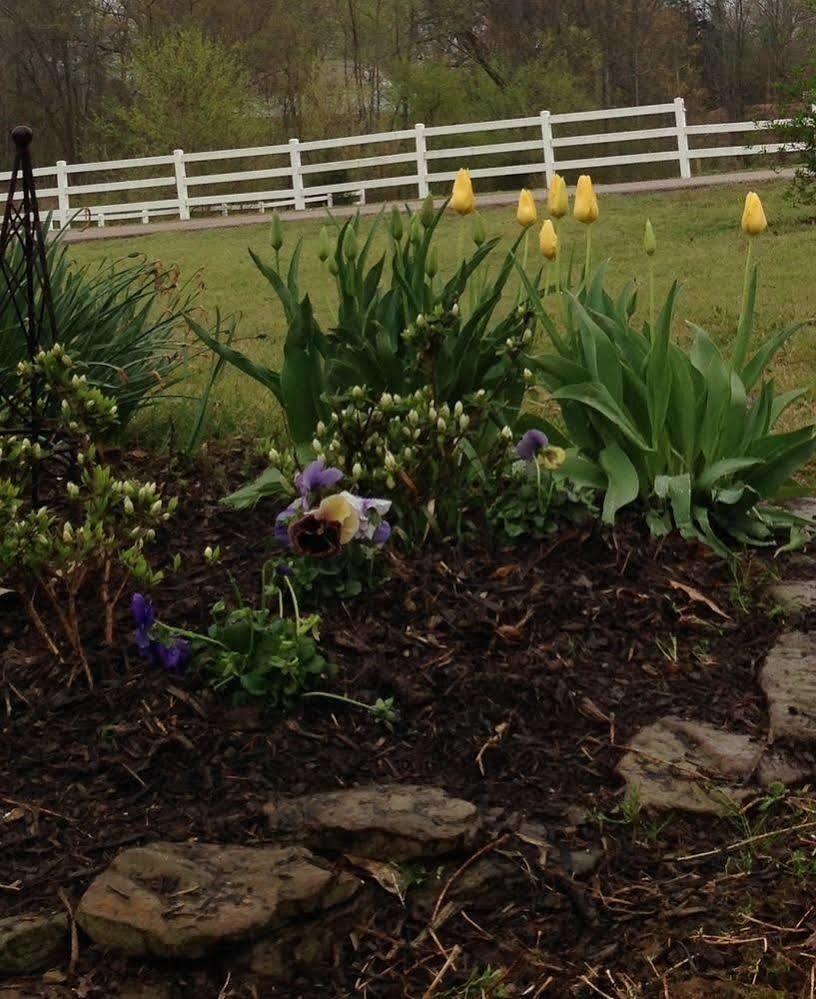 Meadow View Farm Bed & Breakfast Hernando Bagian luar foto